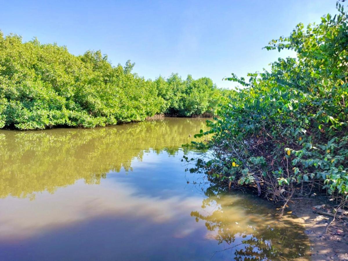 Sanyang Mangrove Beach المظهر الخارجي الصورة