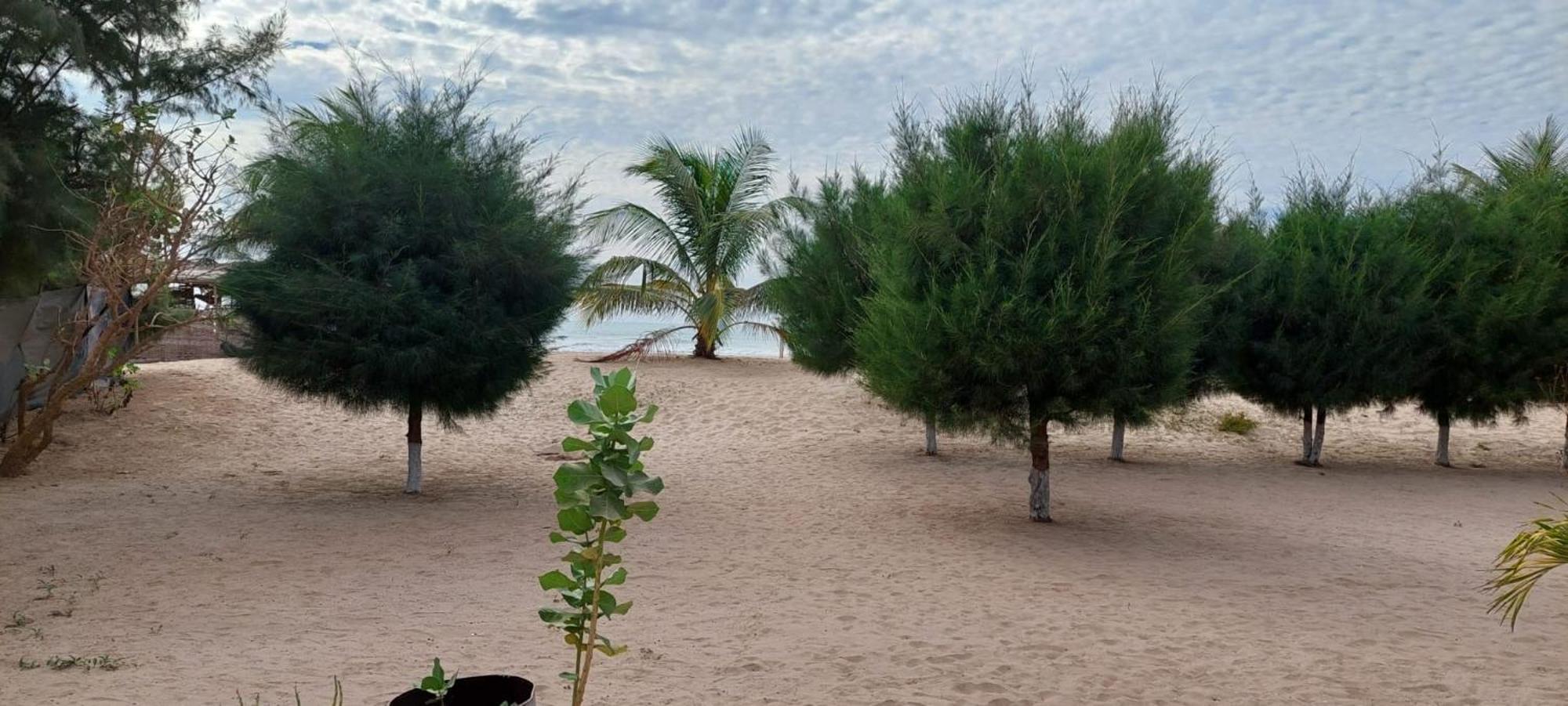 Sanyang Mangrove Beach المظهر الخارجي الصورة